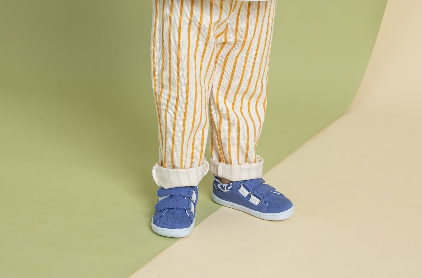 Smart Walker Recycled Canvas (fabric)