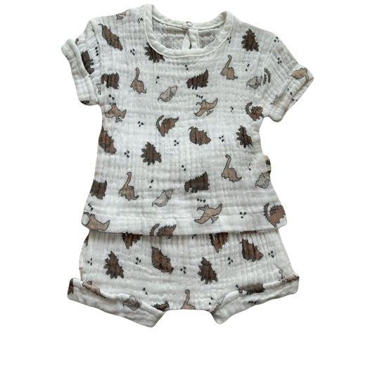 Dino muslin set